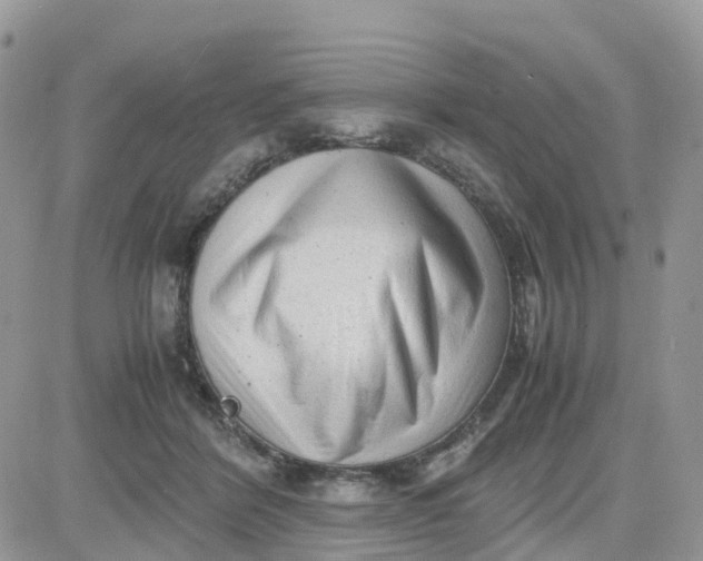 X0000081570412200701291220