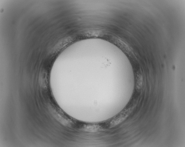 X0000081570414200701291220