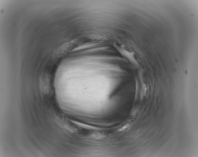 X0000081570416200701291220