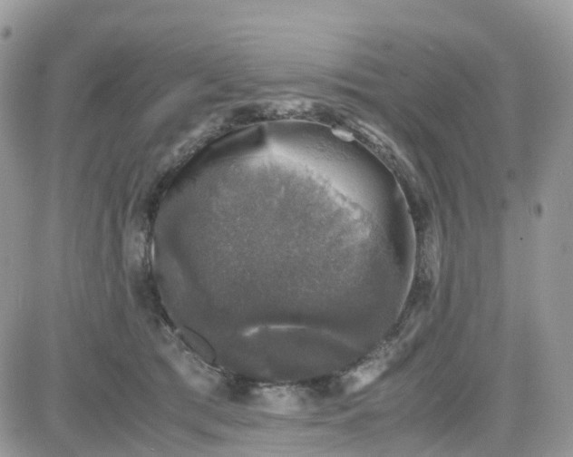 X0000081570417200701291220