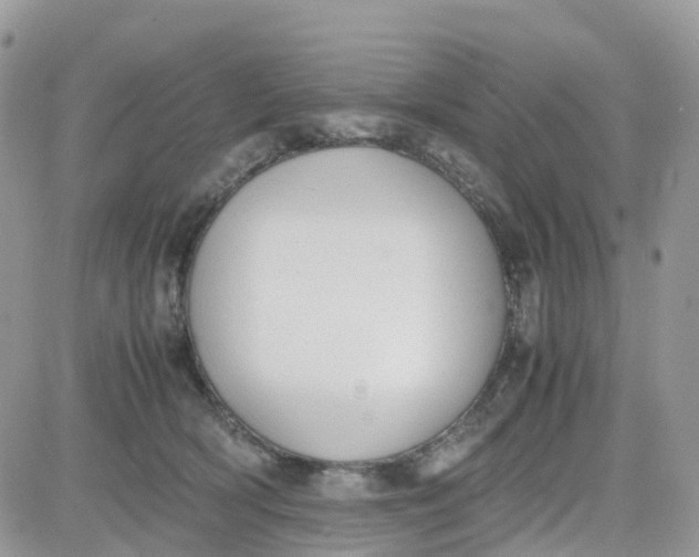 X0000081570418200701291220