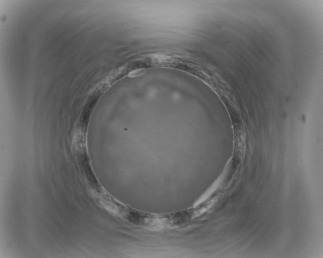 X0000081570419200701291220