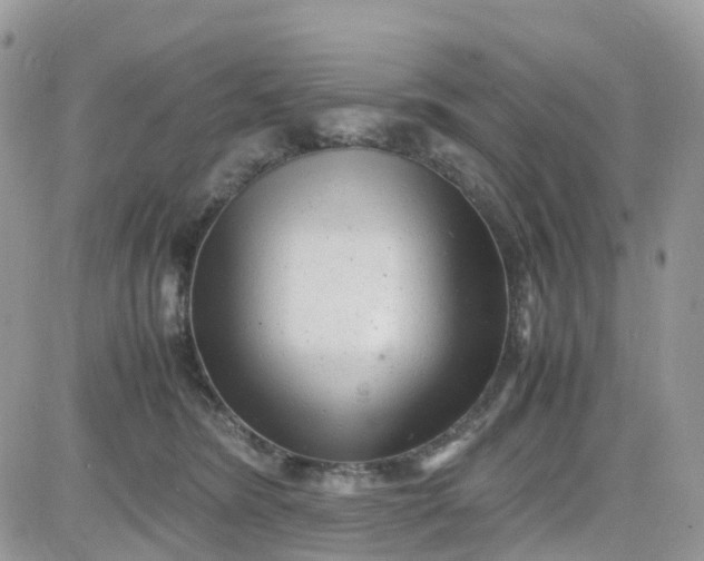 X0000081570420200701291220