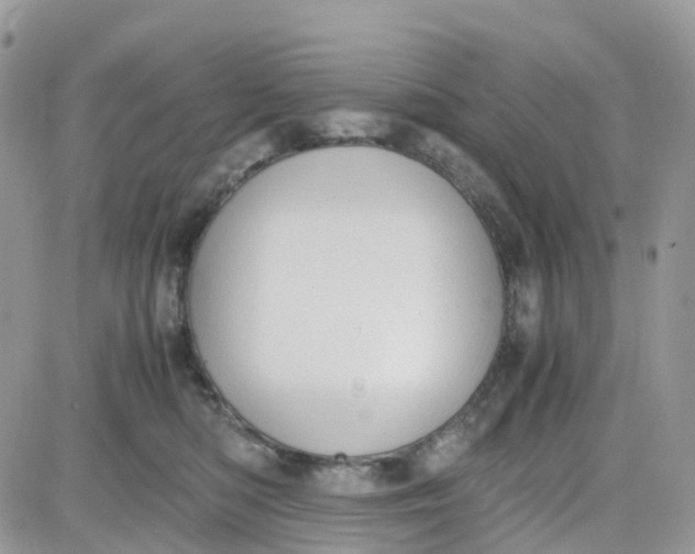 X0000081570422200701291220