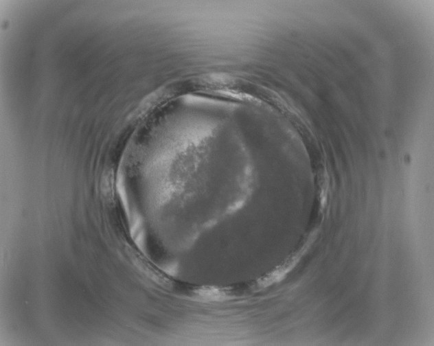 X0000081570425200701291219