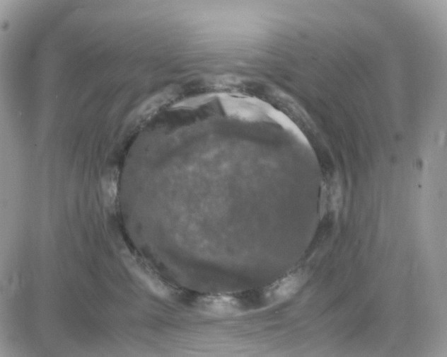 X0000081570427200701291219