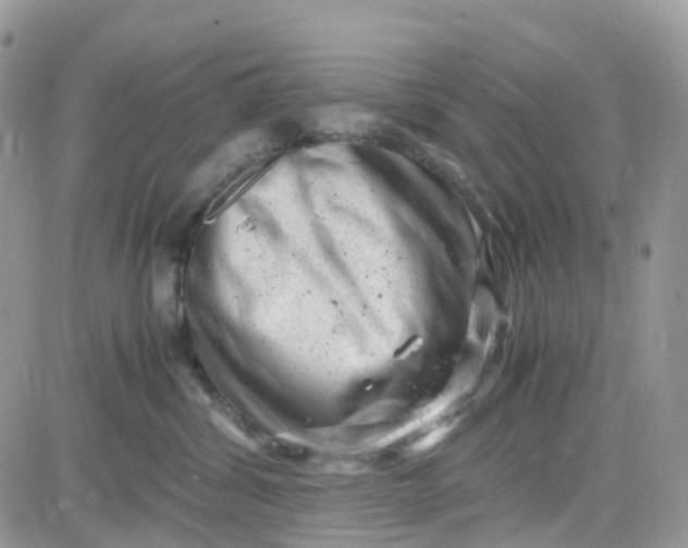 X0000081570428200701291219