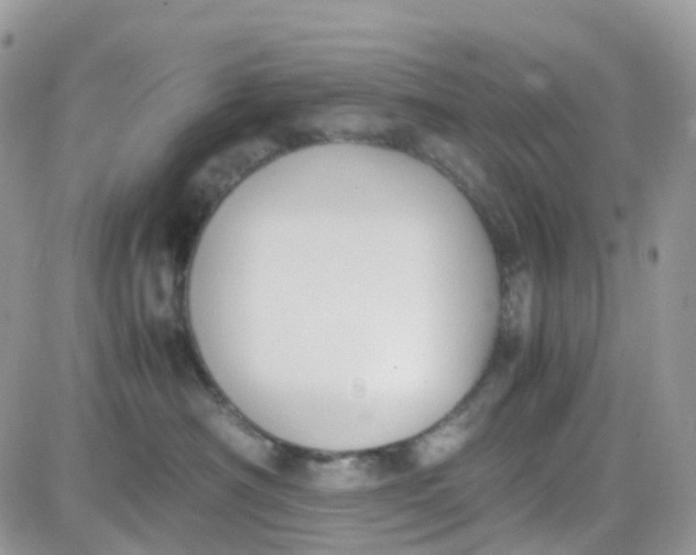 X0000081570430200701291219