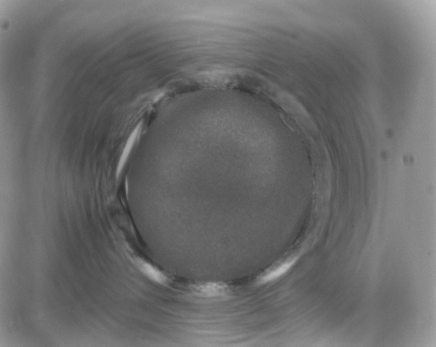 X0000081570432200701291219