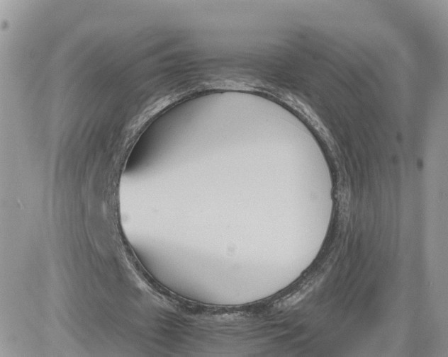 X0000081570433200701291219