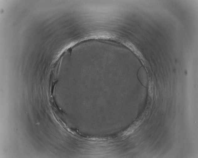 X0000081570434200701291219