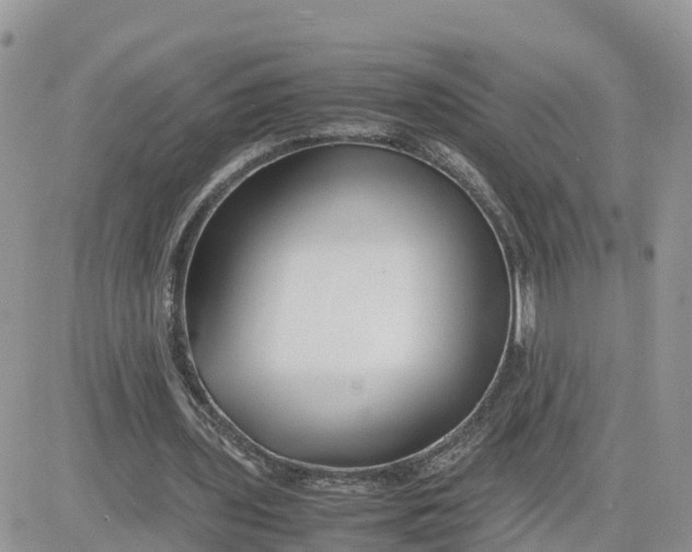 X0000081570435200701291219