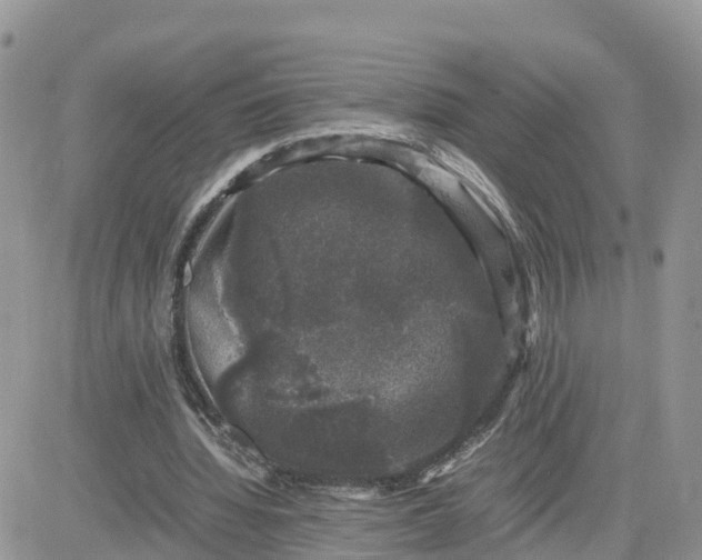 X0000081570436200701291219