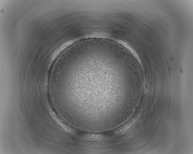 X0000081570437200701291219