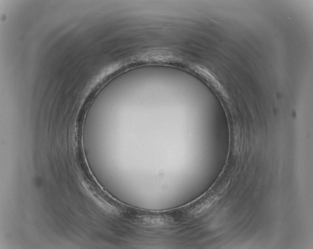 X0000081570439200701291219