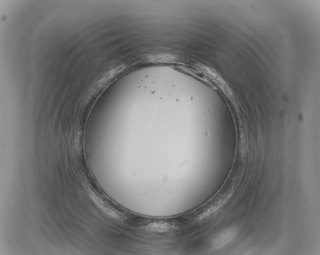 X0000081570441200701291219