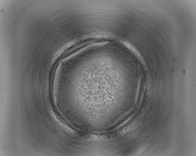 X0000081570442200701291219