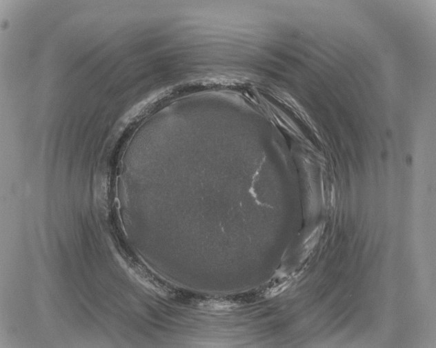 X0000081570444200701291219