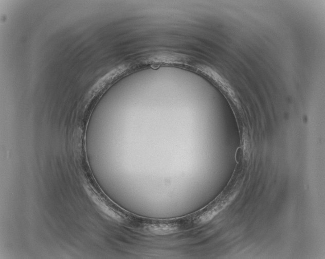 X0000081570445200701291219