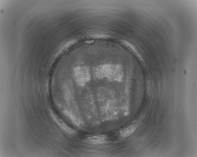 X0000081570447200701291219