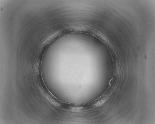 X0000081570450200701291219