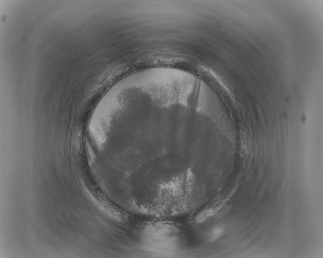 X0000081570451200701291219