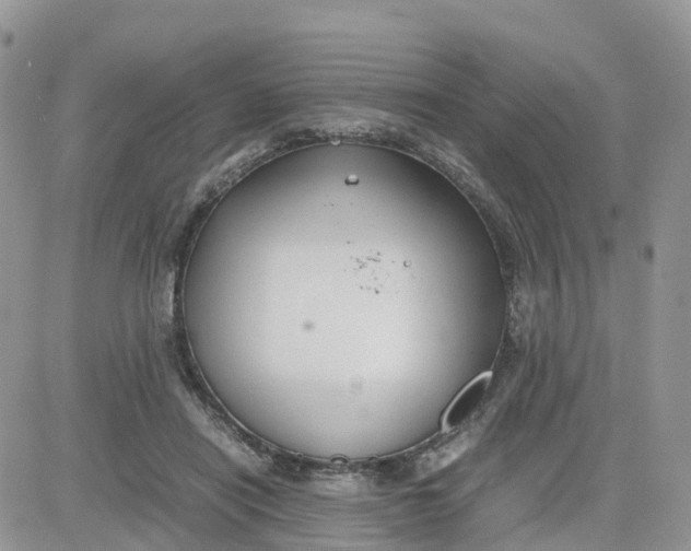 X0000081570454200701291219