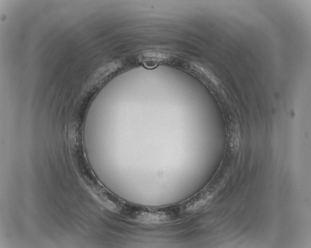 X0000081570455200701291219