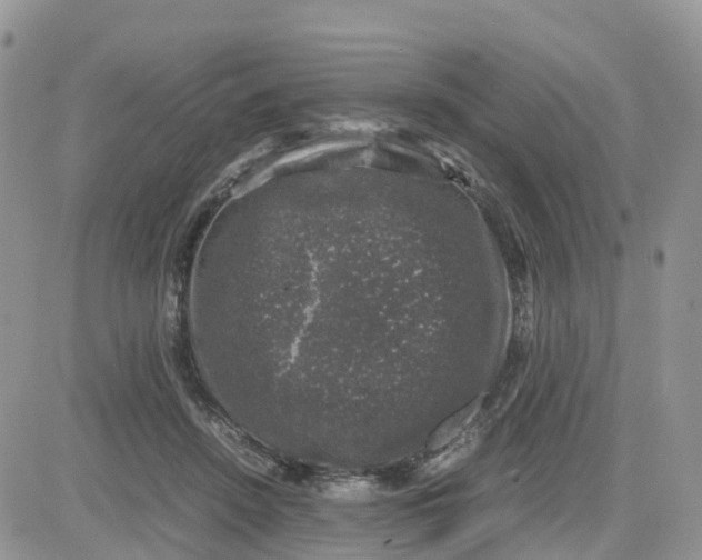 X0000081570456200701291219