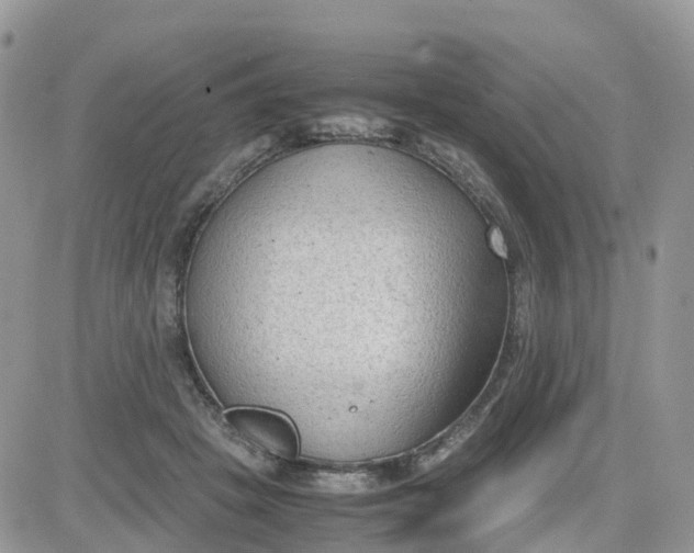 X0000081570457200701291219