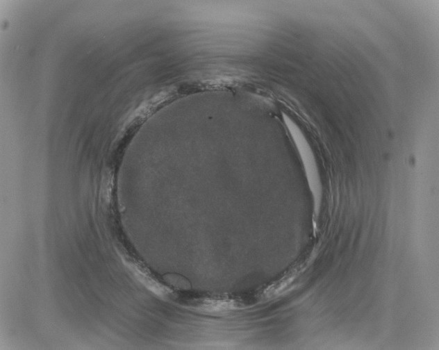 X0000081570458200701291219