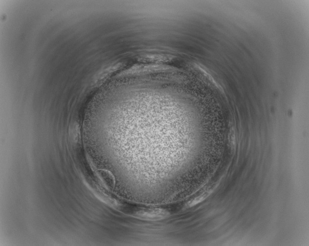 X0000081570459200701291219