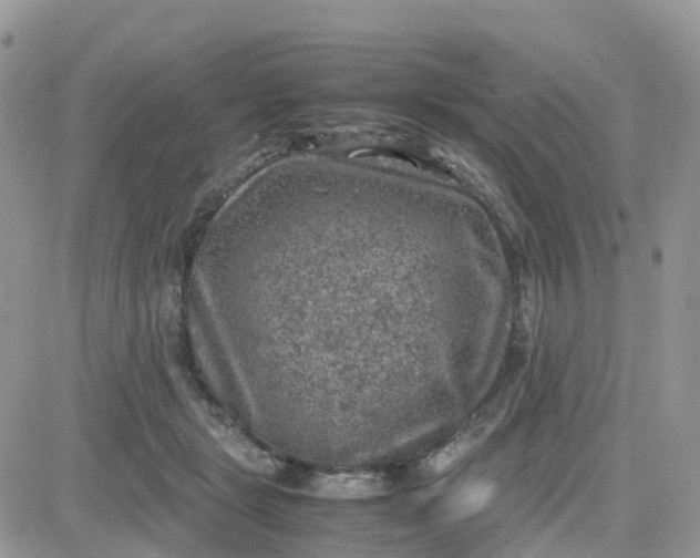 X0000081570461200701291219