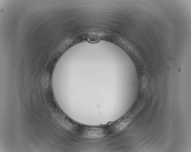 X0000081570463200701291219