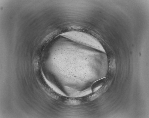 X0000081570464200701291219