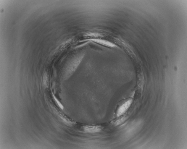 X0000081570465200701291219