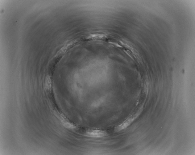 X0000081570467200701291219