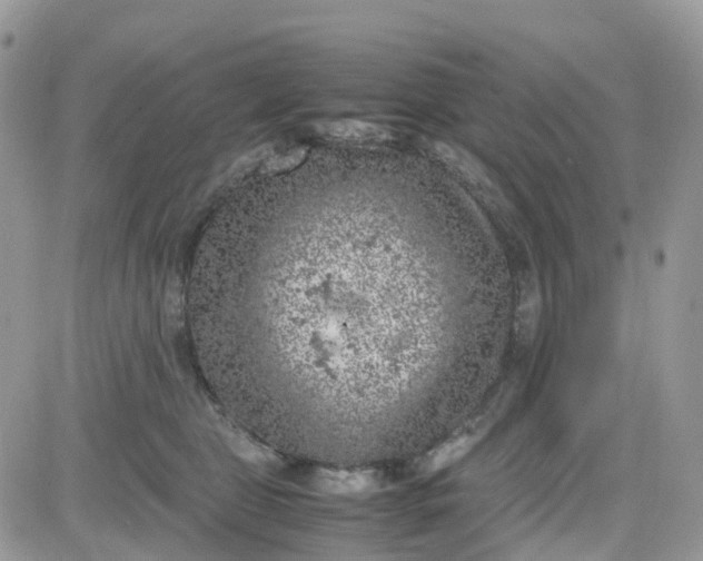 X0000081570469200701291219