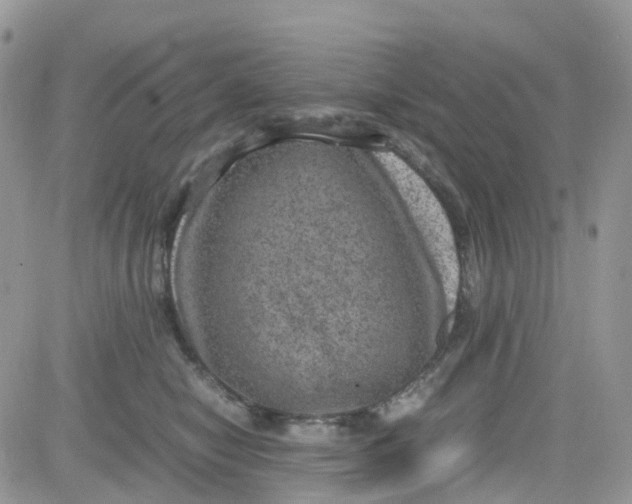 X0000081570470200701291219