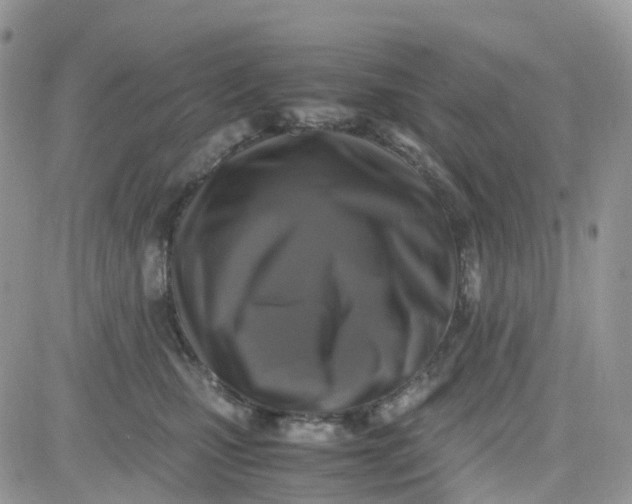 X0000081570471200701291219