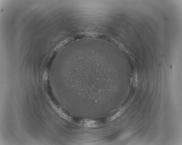 X0000081570472200701291219