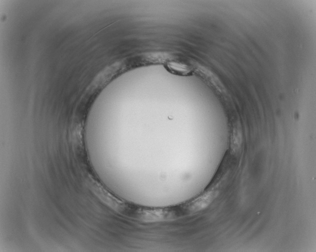 X0000081570473200701291219