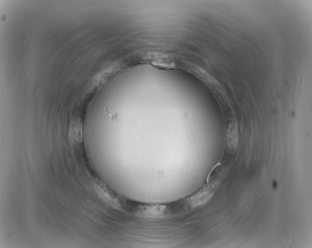 X0000081570474200701291219