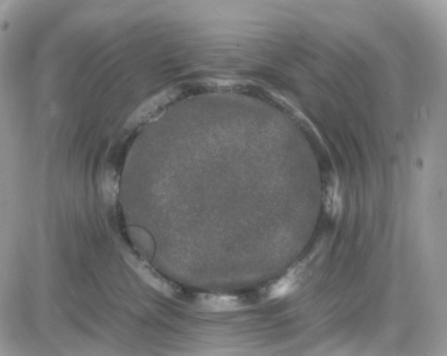 X0000081570476200701291219