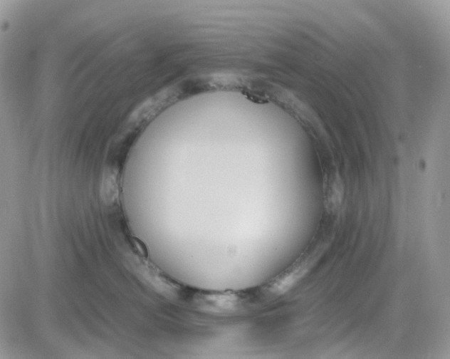 X0000081570478200701291219