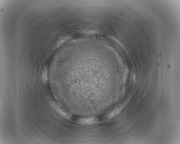 X0000081570479200701291219