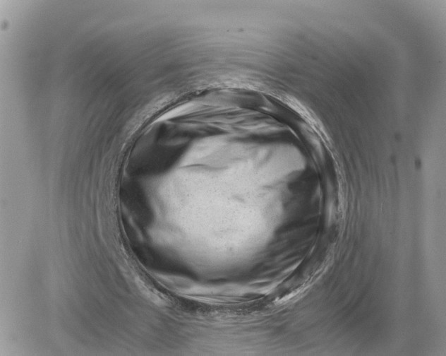 X0000081570481200701291219