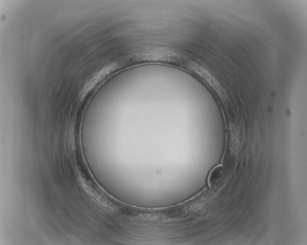 X0000081570482200701291219