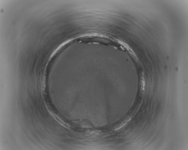 X0000081570484200701291219