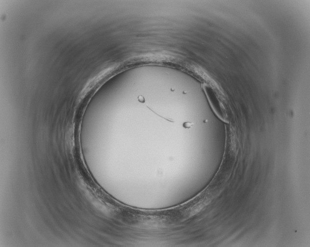 X0000081570486200701291218